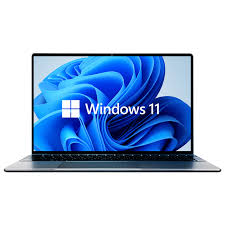 Microsoft Windows 11 Professional 64 Bit ENG Intl 1PK DSP OEI DVD